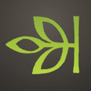Ancestry leaf logo