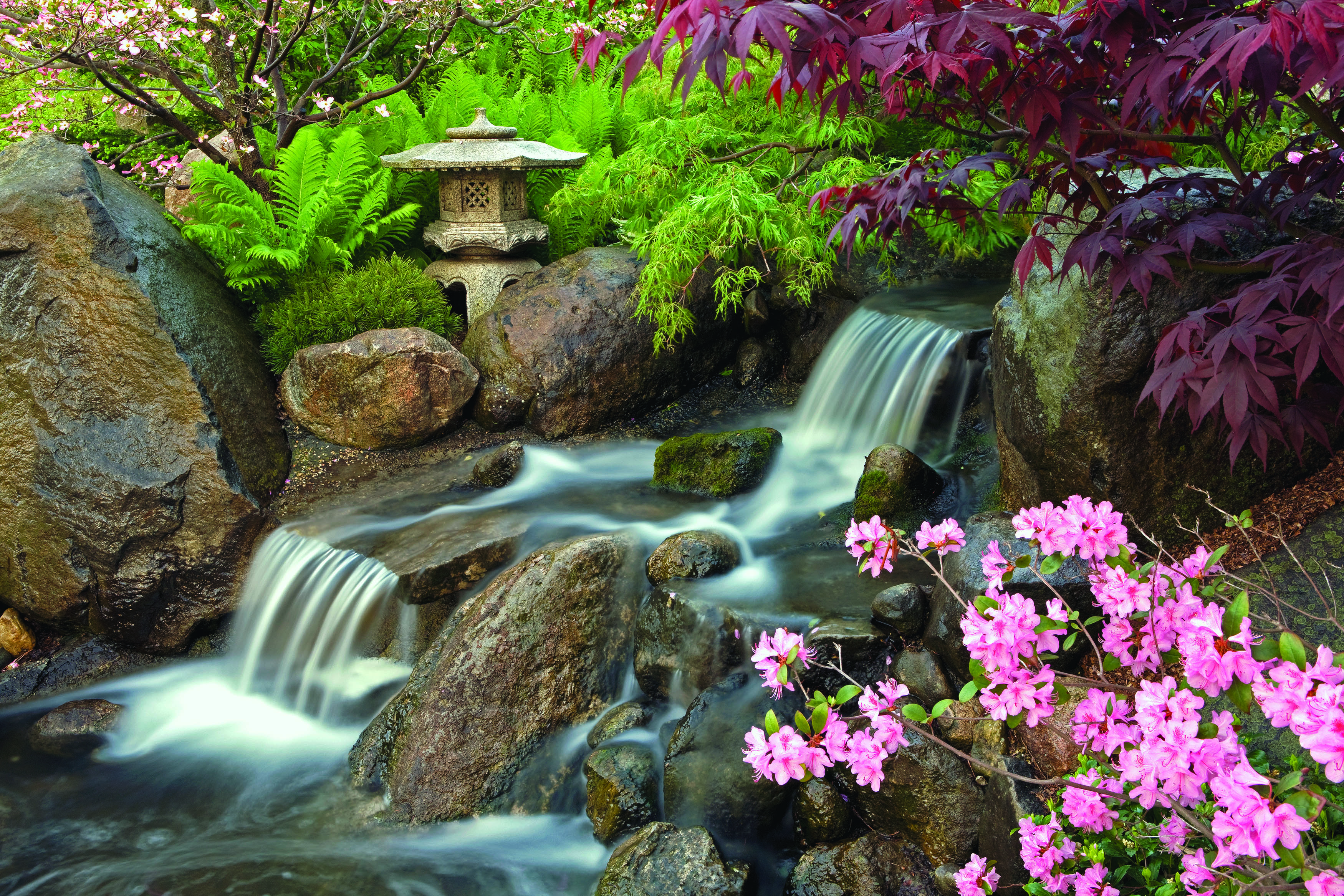 A waterfall in a Japanese garden, with bright green foliage in the background and bright pink flowers in the foreground.