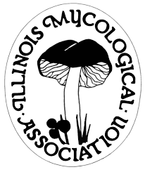 illinois mycological association logo
