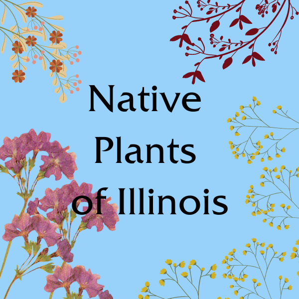 native plants of illinois