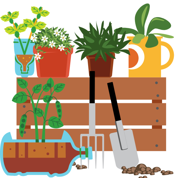 plants in different containers