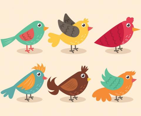 6 colorful bird illustrations