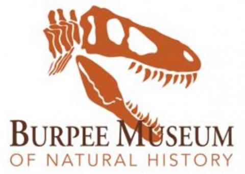 Burpee Museum logo