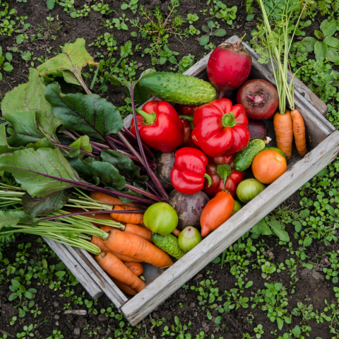 A wooden crate full of a variety of fresh picked vegetables.