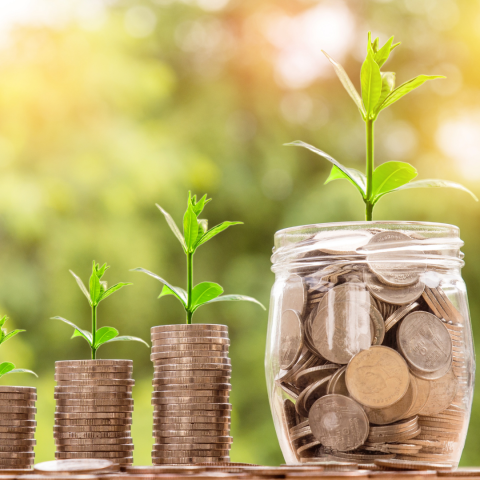 Stacks of coins with small plant shoots coming out of the top, each pile getting larger and ending with a jar full of coins.