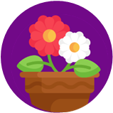 potted plant illustration