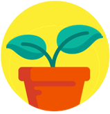 planter with a sprout