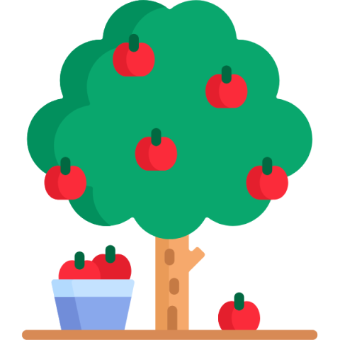 apple tree