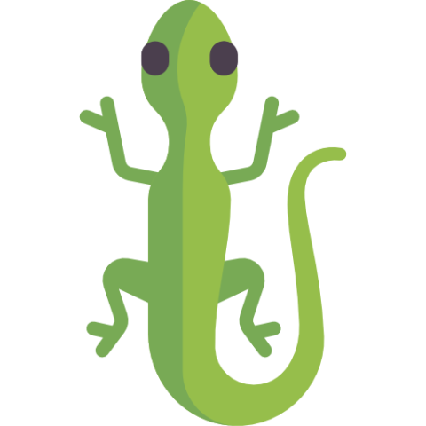 lizard