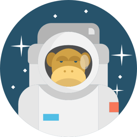 Monkey astronaut