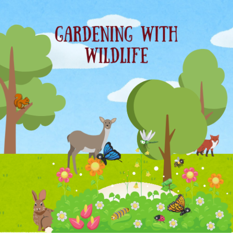 gardening with wildlife