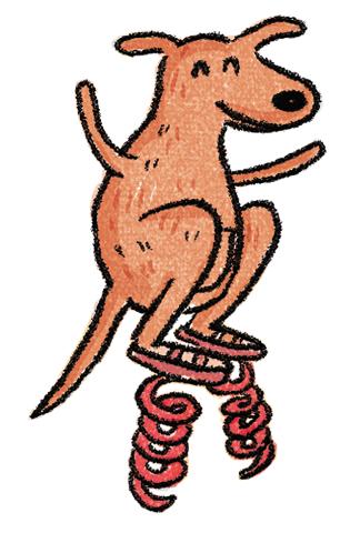 spring kangaroo