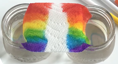 Markers on paper towel laid in two glasses of water
