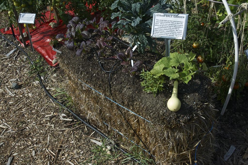 straw bale garden