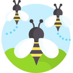 bee illustration