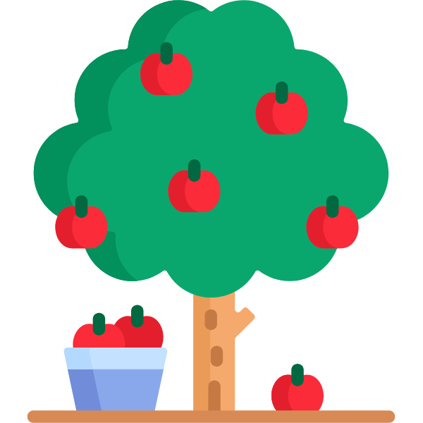 apple tree