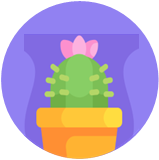 cactus in pot illustration