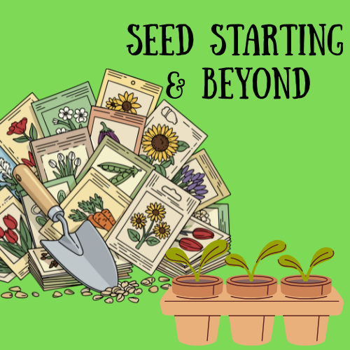 seed starting and beyond